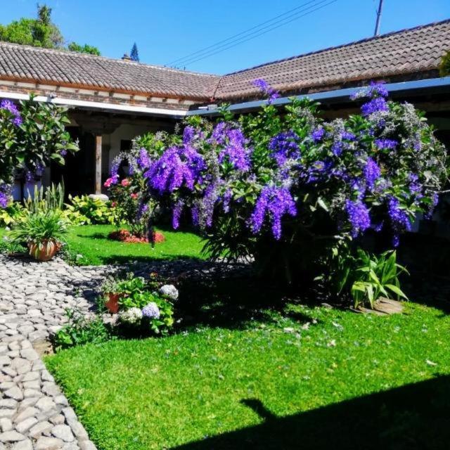 Hostal San Nicolas Antigua Buitenkant foto