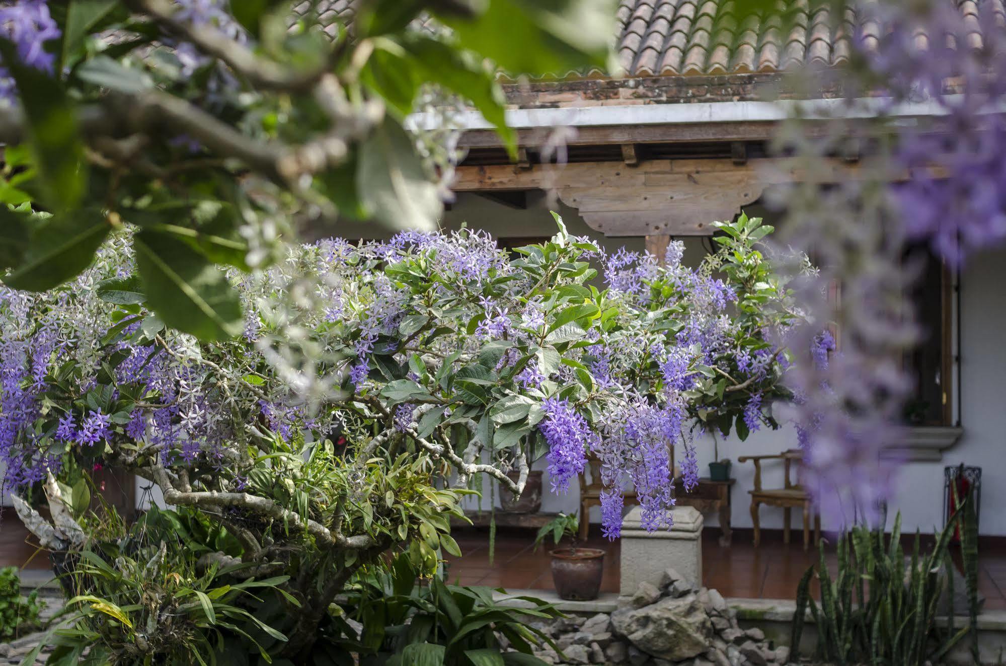 Hostal San Nicolas Antigua Buitenkant foto